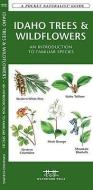Idaho Trees & Wildflowers: An Introduction to Familiar Species di James Kavanagh edito da Waterford Press