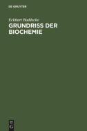 Grundriss Der Biochemie di E Buddecke edito da De Gruyter