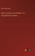 Ueber Tandarois und Flordibel - Ein Artusgedicht des Pleiers di Elard Hugo Meyer edito da Outlook Verlag