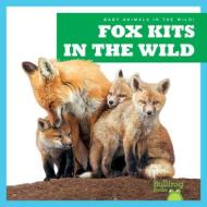 Fox Kits in the Wild di Katie Chanez edito da JUMP