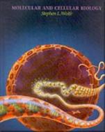 Molecular And Cellular Biology di Stephen L. Wolfe edito da Cengage Learning, Inc