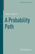 A Probability Path di Sidney I. Resnick edito da Springer Basel AG