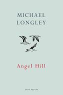 Angel Hill di Michael Longley edito da Vintage Publishing