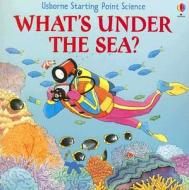 What's Under the Sea? di Sophie Tahta edito da Usborne Books