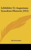Lifsbilder Ur Augustana Synodens Historia (1915) di Nils Forsander edito da Kessinger Publishing