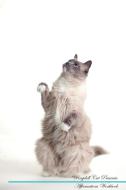 Ragdoll Cat Affirmations Workbook Ragdoll Cat Presents di Live Positivity edito da Positive Living