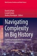 Navigating Complexity in Big History edito da Springer International Publishing
