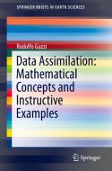Data Assimilation: Mathematical Concepts and Instructive Examples di Rodolfo Guzzi edito da Springer-Verlag GmbH