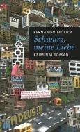 Schwarz, meine Liebe di Fernando Molica edito da edition diá Verlag