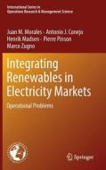 Integrating Renewables in Electricity Markets di Antonio J. Conejo, Henrik Madsen, Juan M. Morales, Pierre Pinson, Marco Zugno edito da Springer US