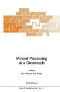 Mineral Processing at a Crossroads edito da Springer Netherlands