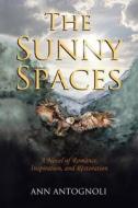 The Sunny Spaces: A Novel of Romance, Inspiration, and Restoration di Ann Antognoli edito da Ann Antognoli
