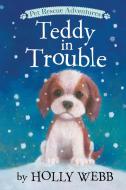 Teddy in Trouble di Holly Webb edito da TIGER TALES