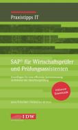SAP für Wirtschaftsprüfer und Prüfungsassistenten di Jonas Tritschler, Ariane von Britton edito da Idw-Verlag GmbH