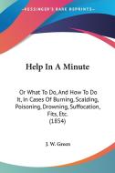 Help in a Minute: Or What to Do, and How to Do It, in Cases of Burning, Scalding, Poisoning, Drowning, Suffocation, Fits, Etc. (1854) di J. W. Green edito da Kessinger Publishing