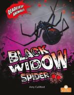 Black Widow Spider di Amy Culliford edito da CRABTREE BRANCHES