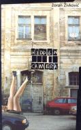 Hidden Camera di Zoran Zivkovic, Alice Copple-Tosic edito da Dalkey Archive Press