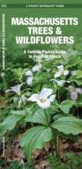 Massachusetts Trees & Wildflowers: A Folding Pocket Guide to Familiar Plants di James Kavanagh, Waterford Press edito da Waterford Press