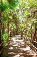 Bacab Jungle Park Walkway Path in Belize Journal: 150 Page Lined Notebook/Diary di Cool Image edito da Createspace Independent Publishing Platform