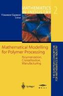 Mathematical Modelling for Polymer Processing di Vincenzo Capasso edito da Springer Berlin Heidelberg