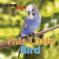 This Little Bird di Sasha Morton edito da QEB PUB QUARTO LIB