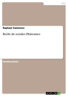 Recht als soziales Phänomen di Raphael Salzmann edito da GRIN Verlag