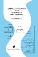 Database Support for Workflow Management edito da Springer US