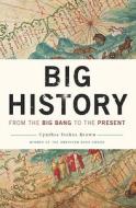 From Big Bang To The Present di Cynthia Stokes Brown edito da The New Press