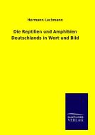Die Reptilien und Amphibien Deutschlands in Wort und Bild di Hermann Lachmann edito da TP Verone Publishing