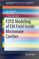 FDTD Modeling of EM Field inside Microwave Cavities di Shiv Narayan edito da Springer