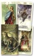 Vikings Tarot di Manfredi Toraldo, Lo Scarabeo edito da Llewellyn Publications
