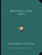 Beautiful Ferns (1871) di Groombridge and Sons edito da Kessinger Publishing