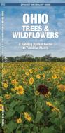Ohio Trees & Wildflowers: A Folding Pocket Guide to Familiar Plants di James Kavanagh, Waterford Press edito da Waterford Press