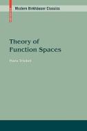 Theory of Function Spaces di Hans Triebel edito da Springer Basel AG