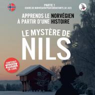 Le Mystere De Nils. Partie 1 - Cours De Norvegien Pour Debutants (a1/a2). Apprends Le Norvegien A Partir D'une Histoire. di Skalla Werner Skalla edito da Skapago Publishing