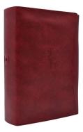 Protective Vinyl Cover Red di Catholic Book Publishing Corp edito da Catholic Book Publishing Corp