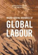 Micro-Spatial Histories of Global Labour edito da Springer International Publishing