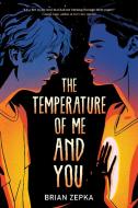 The Temperature of Me and You di Brian Zepka edito da HYPERION