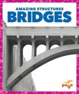 Bridges di Rebecca Pettiford edito da POGO