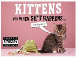 Kittens for When Sh*t Happens di Trevor Davies edito da Spruce