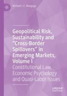 Geopolitical Risk, Sustainability and ¿Cross-Border Spillovers¿ in Emerging Markets, Volume I di Michael I. C. Nwogugu edito da Springer International Publishing