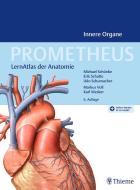 PROMETHEUS Innere Organe di Michael Schünke, Erik Schulte, Udo Schumacher edito da Georg Thieme Verlag