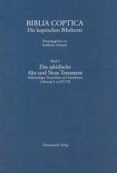 Das Sahidische Alte Und Neue Testament. Vollstandiges Verzeichnis Mit Standorten: Lieferung 3: Sa 673-720 edito da Harrassowitz