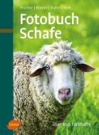 Fotobuch Schafe di Gerhard Fischer, Regina Kuhn, Hugo Rieder, Fridhelm Volk edito da Ulmer Eugen Verlag