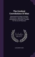 The Cerebral Convolutions Of Man di Alexander Ecker edito da Palala Press