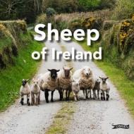 Sheep of Ireland di Sarah O'Connor edito da O BRIEN PR