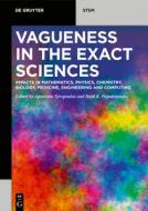 Vagueness In The Exact Sciences edito da De Gruyter