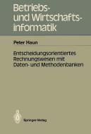 Entscheidungsorientiertes Rechnungswesen mit Daten- und Methodenbanken di Peter Haun edito da Springer Berlin Heidelberg