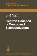 Electron Transport in Compound Semiconductors di B. R. Nag edito da Springer Berlin Heidelberg