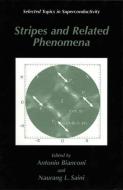 Stripes and Related Phenomena di A. Bianconi edito da Springer US